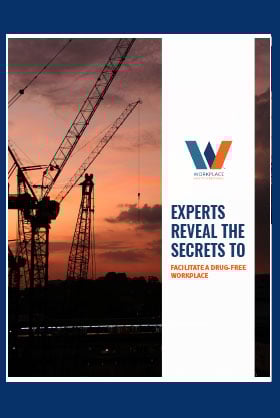 experts-reveal-the-secrets-to-mockup